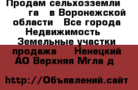 Продам сельхозземли ( 6 000 га ) в Воронежской области - Все города Недвижимость » Земельные участки продажа   . Ненецкий АО,Верхняя Мгла д.